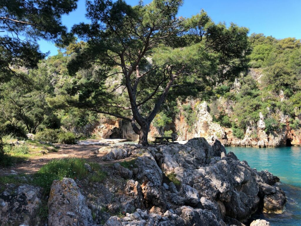 oscar sky Sms 9x3JIsc unsplash 1