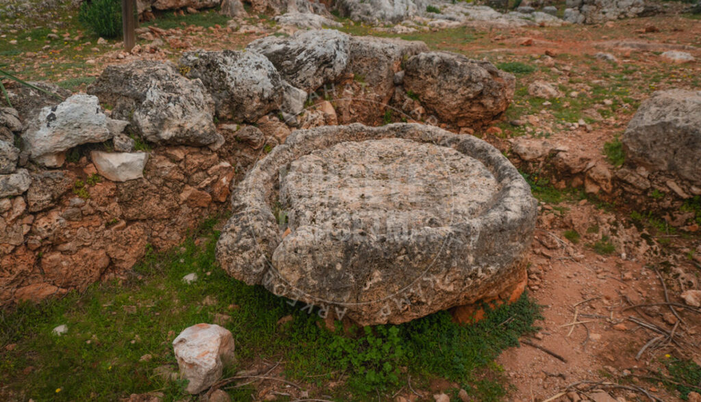 Lyrboton zeytin press yapısı