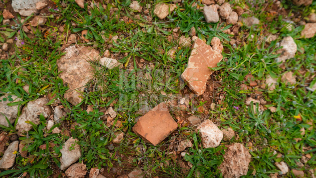 Lyrboton keramik buluntular